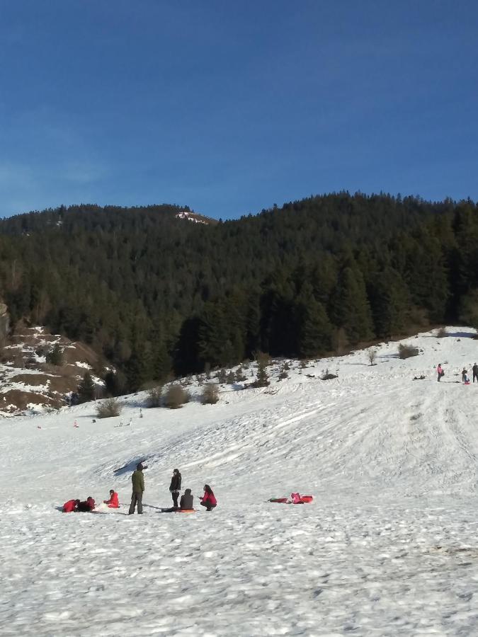 קמפן Gite Cosy Lac De Payolle מראה חיצוני תמונה