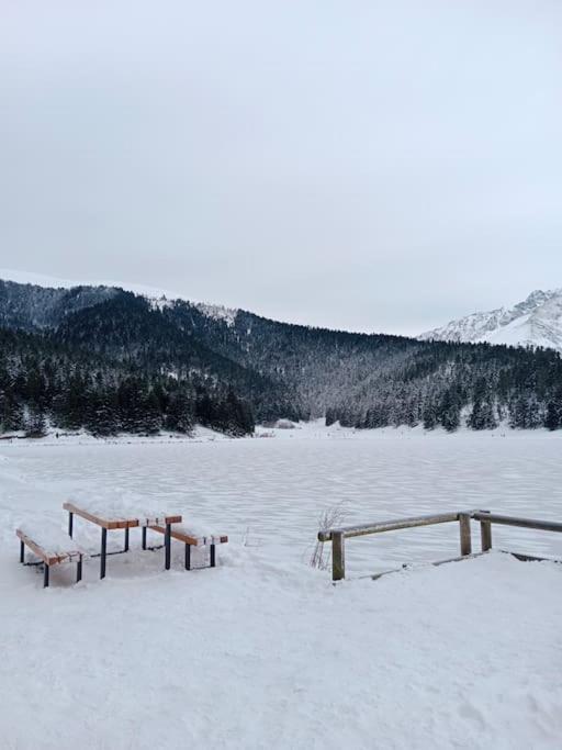 קמפן Gite Cosy Lac De Payolle מראה חיצוני תמונה